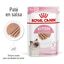 85 g Royal Canin Kitten patê em saquetas para gatos, , large Indicador imagem número 2